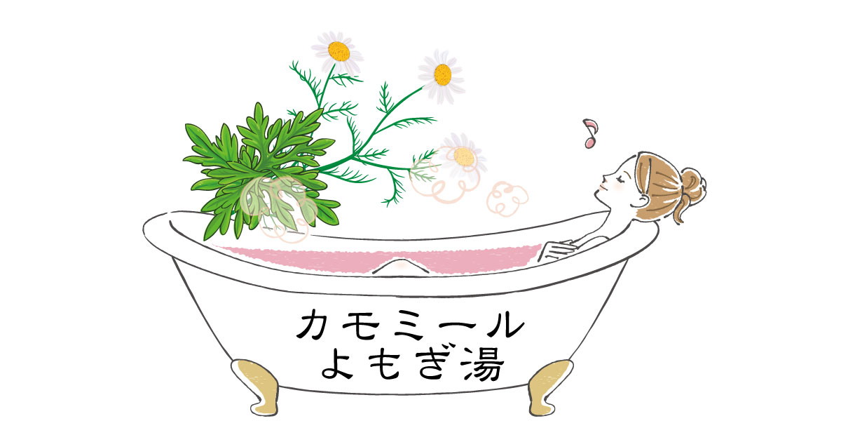 カモミールの植物の描画